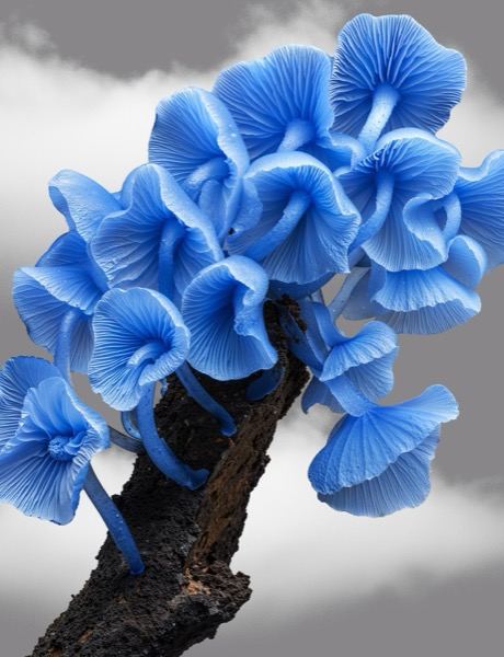 Графика для концептов